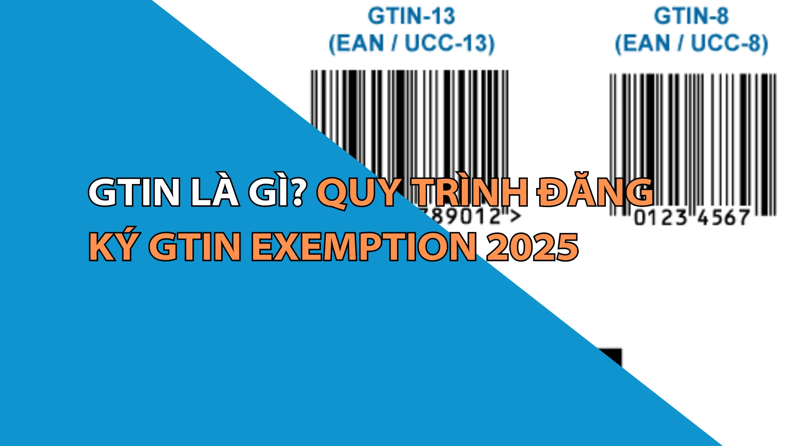 Quy Trình Đăng Ký Miễn Trừ Gtin Exemption Trên Amazon 2025