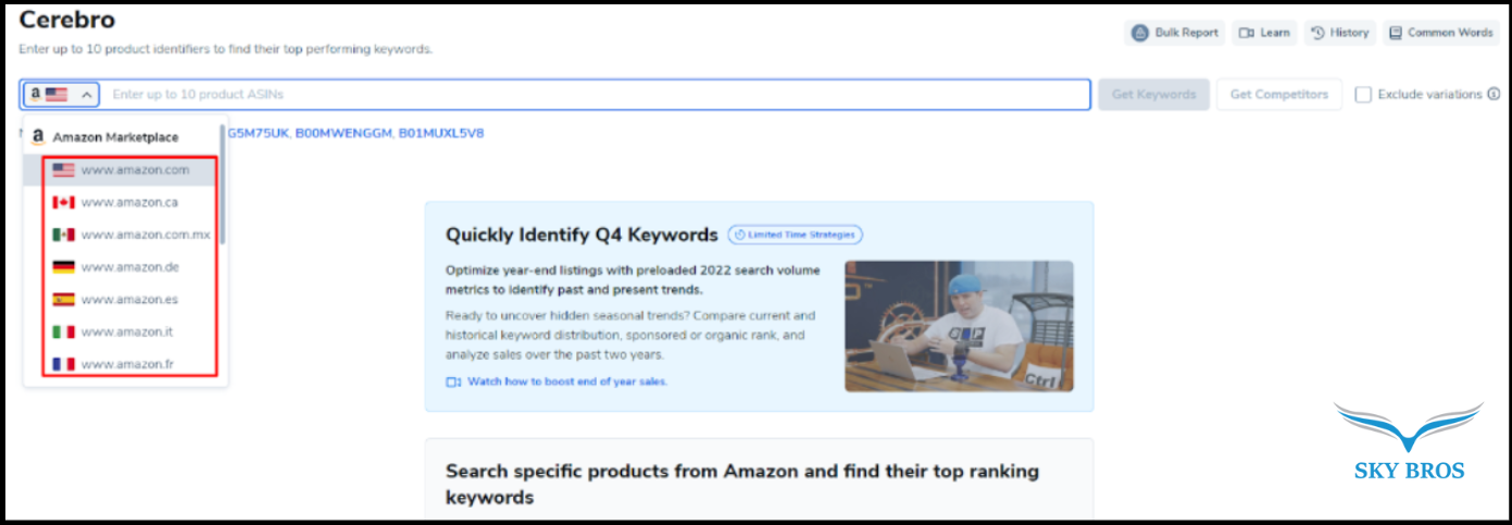 giao diện helium 10 cerebro